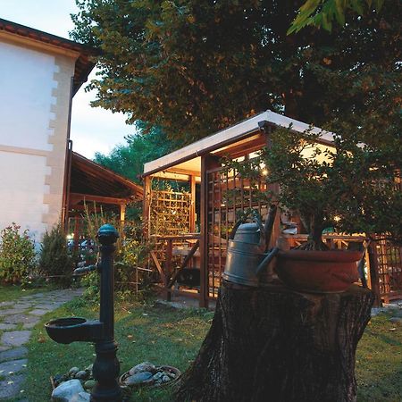 Hotel Giuly Torre del Lago Puccini Esterno foto